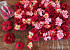 DIY Panneau de fleurs Rouge 80x60cm