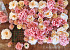 DIY Blumengitter Peach/Rosa 80x60cm
