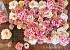 DIY Flower Panel Grid Peach/Pink 80x60cm