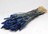 Bouquet Triticum Bleu (blé) 70cm