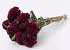 Bouquet Celosia Bordeaux 60cm