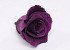 Rose Heads 5cm Purple