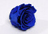 Rose Heads 5cm Royal Blue