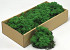 Reindeer Moss Grass Green 500g.