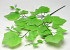 Artificial Grape Ivy Green 62cm 