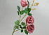 Rose artificielle Mauve 80cm 