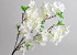 Artificial Cherry Tree White 90cm 