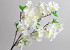 Cerisier artificielle Blanc 90cm 