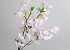 Artificial Cherry Tree Light Pink 90cm 