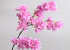 Artificial Apple Blossom Pink 100cm 