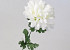 Artificial Chrysanthemum White 52cm 