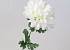 Kunst Chrysant Wit 52cm