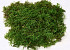 Sheet Moss Green Sample