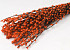 Chatons de Saule 70cm Orange 50pcs