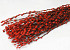 Dried Pussy Willow 70cm Red 50pcs