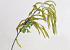 Artificial Hazel Twig Green 78cm 