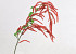 Artificial Hazel Twig Red 78cm 