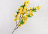 Forsythia artificiel Jaune 51cm 