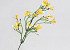 Decorative Branch Yellow 33cm 