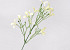 Decorative Branch Cream 33cm 