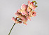 Kunst Orchidee Roze 73cm