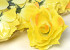 Rose Yellow/Orange D11cm 