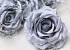 Rose Satin Gray D11cm