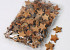Kokos Ster Naturel 5cm 100st