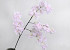 Artificial Lilac Light Pink 100cm 