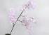 Branche de lilas artificielle Rose Clair 100cm 