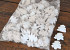 Coco Xmas Tree White 100pcs