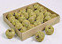 Pana Apple 6cm 25-Pack