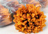 Chrysant Oranje/Bruin D15cm
