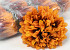 Chrysanthemum Orange/Brown D15cm