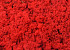 Reindeer Moss Red per kg