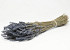 Lavendin 40cm 100Gr