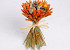 Bouquet Séchée d10cm orange