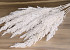 Erianthus Bleached 10pcs 110cm
