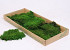 Sheet Moss green 26x64cm
