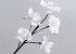 Fleur en mousse Blanc, D 13cm