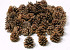 Dennenappel (Pinus Nigra) per kg.