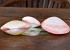 Shell Kering Pink 8-11cm