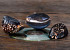 Schelpen Kowok Hitam 6-7cm