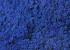 Lichen stabilisé Bleu Royal par kg