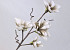 Fleurs en mousse Blanc/Gris 70cm 