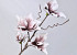Foam Flower Spray White/Lilac 70cm 