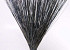 Reed Cane Blue 75cm