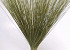 Bouquet Reed Cane Vert 75cm