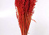 Bouquet Avoine Rouge Clair 70cm
