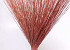 Reed Cane Rosa 75cm